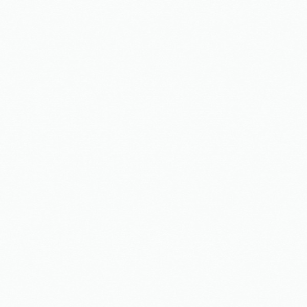 ЛДСП Белый лотос 16 мм 2750*1830 Матовая ПВ.